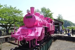 今年も鳥取に恋の季節がやってきた！5月1日は「恋の日」（51＝こい）　県内がピンク一色に染まる。