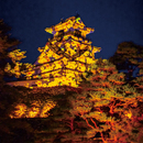 〈2022.12.8〉日本三大夜城・高知城でデジタルアートが展開。