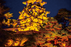 〈2022.12.8〉日本三大夜城・高知城でデジタルアートが展開。