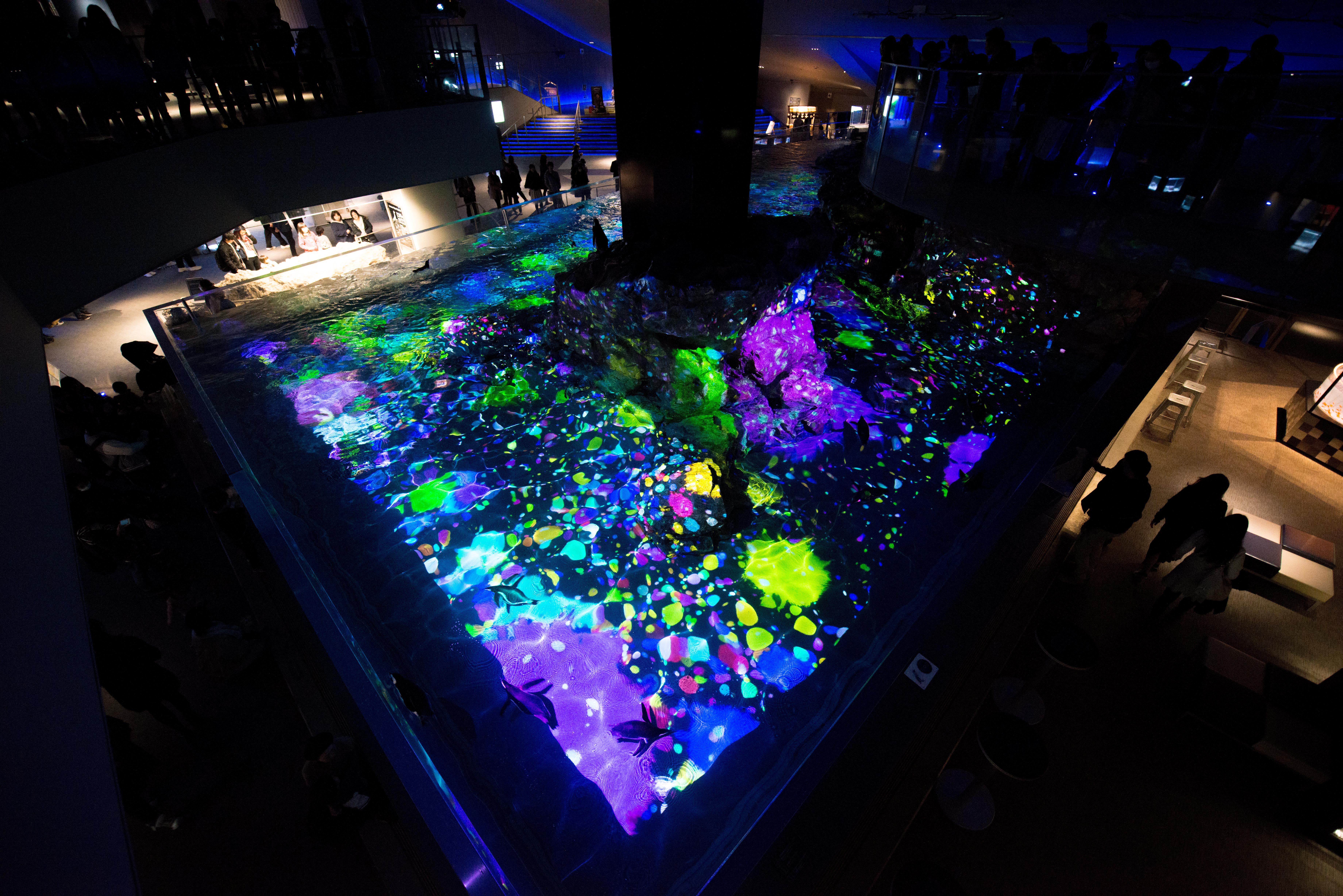 桜の花びらや鳥の群れなど春の訪れをイメージした映像が展開。