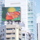 〈2026.7.14〉Absen「A25シリーズ」